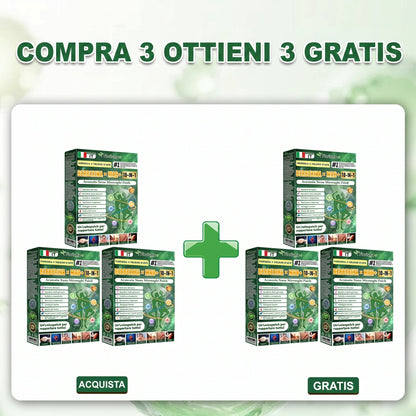 📢 𝐅𝐥𝐨𝐫𝐢𝐬𝐦𝐚®-01